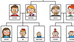 Quiz - Lesson 17: Who Is in your family?