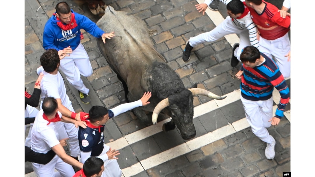 Participants run with Jose Escolar Gil breeder fighting bulls during the seventh bull run of the San Fermin festival in Pamplona, northern Spain, July 13, 2024.