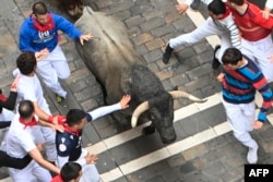 Participants run with Jose Escolar Gil breeder fighting bulls during the seventh bull run of the San Fermin festival in Pamplona, northern Spain, July 13, 2024.