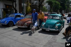 People walk past vintage Volkswagen Beetles, known in Mexico as "vochos," ahead of a parade, a day after World Vocho Day, in Mexico City, June 23, 2024.