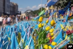 In memory of fallen fighters, tulips are placed between Ukrainian flags in Kyiv, Ukraine, on June 25, 2024. Despite the hardships brought by the war, Kyiv and other Ukrainian cities are full of flowers.