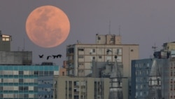 Quiz - Super, Blue and Blood: A Guide to Different Full Moons