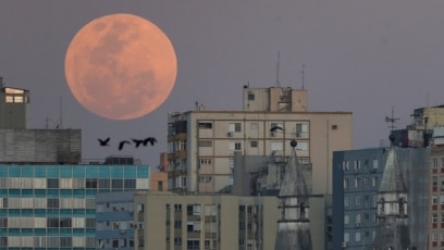 Quiz - Super, Blue and Blood: A Guide to Different Full Moons