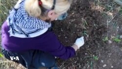 ئەو ژنەی گۆیژە سەوز دەکات