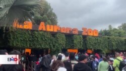 Zoológico de Guatemala abre sus puertas por la noche