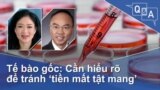 Tế bào gốc: Cần hiểu rõ để tránh ‘tiền mất tật mang’