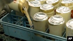 In this image provided by Comite Champagne, a worker pours out the contents of cans of Miller High Life beer prior to them being crushed at the Westlandia plant in Ypres, Belgium, April 17, 2023.