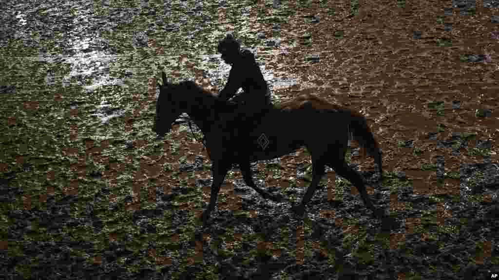 Seekor kuda berolahraga di tengah hujan di Churchill Downs Jumat, 3 Mei 2024, di Louisville, Ky. Kentucky Derby ke-150 dijadwalkan pada Sabtu, 4 Mei 2024. (Foto: Charlie Riedel/AP Photo)