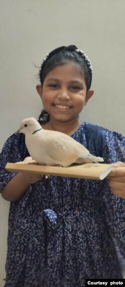 নুসাইবা