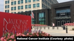 Researchers from the National Cancer Institute in the United States and Australian National University are developing a tool to help classify brain tumors.