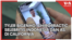 Tyler Bigenho: Ahli Chiropractic Selebritis Indonesia dan AS di California