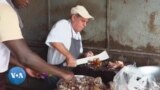 Porc grillé à Ouagadougou : Un Italien s'impose dans le paysage culinaire burkinabè