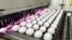 FILE - Eggs are cleaned and disinfected at the Sunrise Farms processing plant in Petaluma, Calif., on Jan. 11, 2024. 