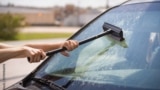 FILE - A girl washes dead insects from the windshield of the car. (Photo by goodmoments via Adobe Stock)