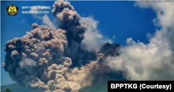 Gunung Merapi di perbatasan Yogyakarta dan Jawa Tengah mengalami 24 kali guguran awan panas sejak sekitar pukul 12.12 WIB hingga Sabtu sore (11/3). (Foto: Courtesy/BPPTKG)