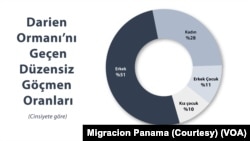 Panama Ulusal Göçmenlik Servisi verilerine göre bu düzensiz göçmenlerin yüzde 21’i çocuklardan, yüzde 28’si kadınlardan oluşuyor.