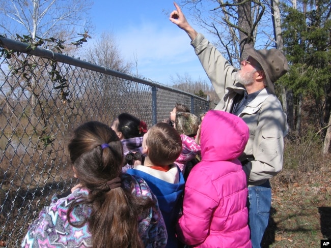 This image provided by Steve Kistler shows Kistler teaching third-graders at the Cub Run, Kentucky, Elementary School about birds during the Great Backyard Bird Count in February 2012. The count is a citizen science project that collects data used by researchers to track bird populations. (Steve Kistler/Janet Kistler via AP)