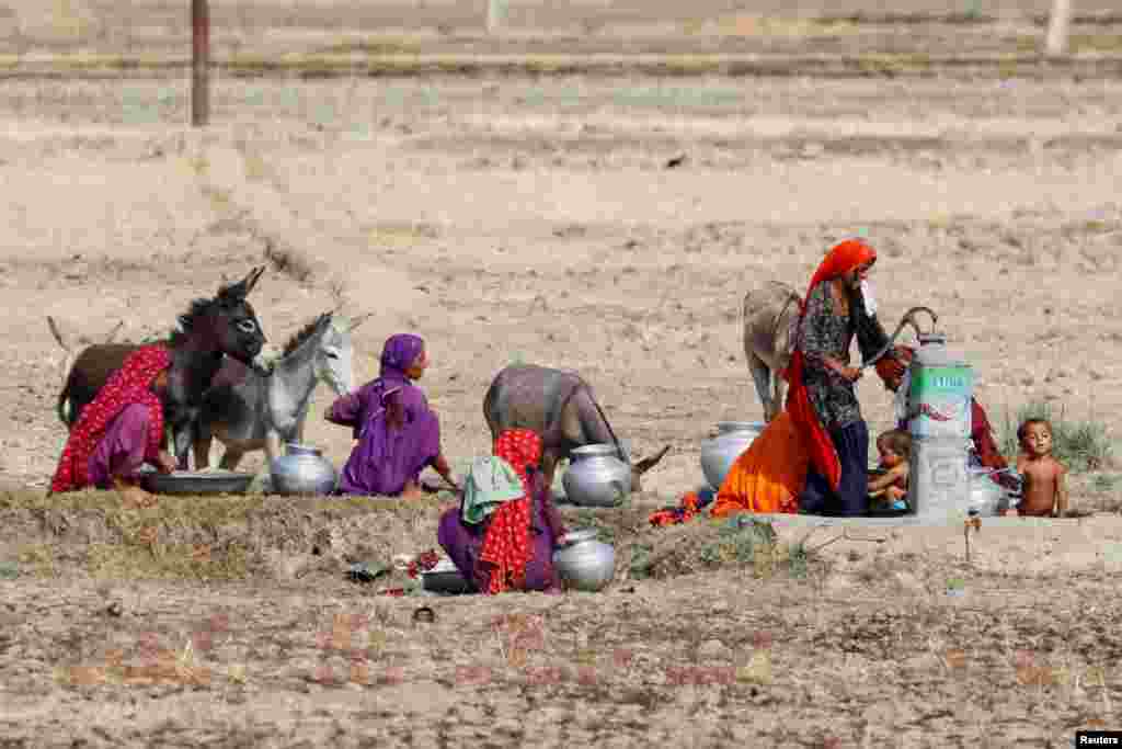 Women with children and their pet donkeys gather for washing and to fetch water at a handpump during a hot summer day on the outskirts of Larkana, Pakistan.