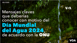 ONU: Mensajes clave que deberías saber con motivo del Día Mundial del Agua 2024