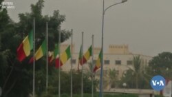 🇲🇱VOA Bambara Ka nin Dogokun Baronin Kenekan Grin 