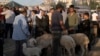 Sejumlah warga Palestina membeli domba di sebuah pasar di Nablus, Tepi Barat, pada 13 Juni 2024, menjelang bagian dari perayaan Iduladha. (Foto: AP/Majdi Mohammed)