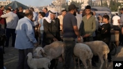 Sejumlah warga Palestina membeli domba di sebuah pasar di Nablus, Tepi Barat, pada 13 Juni 2024, menjelang bagian dari perayaan Iduladha. (Foto: AP/Majdi Mohammed)