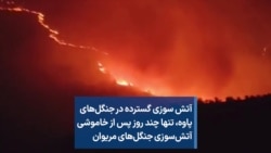آتش‌ سوزی گسترده در جنگل‌های پاوه، تنها چند روز پس از خاموشی آتش‌سوزی جنگل‌های مریوان