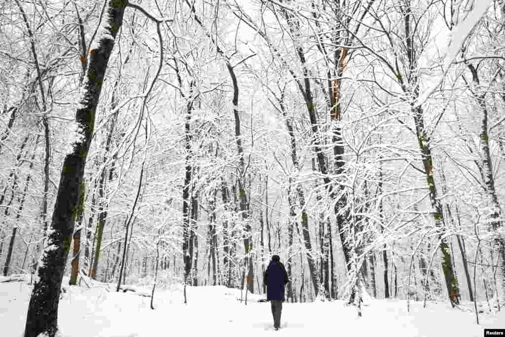 A man walks in a snow covered forest in Tallman Mountain State Park during a winter storm in the New York town of Sparkill, Feb. 28, 2023.
