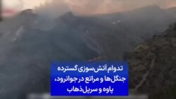 تدوام آتش‌سوزی گسترده جنگل‌ها و مراتع در جوانرود، پاوه و سرپل‌ذهاب