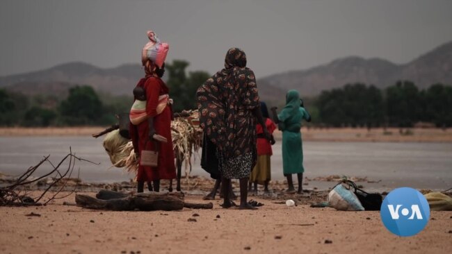 UN Estimates 843,000 People Internally Displaced in Sudan