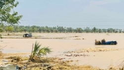 မိုခါဆိုင်ကလုန်းဒဏ် ခံခဲ့ရတဲ့ မြန်မာ့စိုက်ပျိုးရေး လုပ်ငန်း
