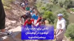 تلاش برای نجات یک کوهنورد در کوهستان بیمضرته اشنویه