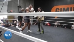 Boxe : le Camerounais Francis Ngannou se prépare avec Mike Tyson
