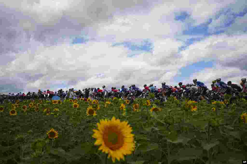 Rombongan pebalap bersepeda dalam kelompok besar pada etape ke-13 balap sepeda Tour de France sejauh 165,3 kilometer (102,7 mil) dengan start di kota Agen dan finis di Pau, Prancis. (AP)&nbsp;