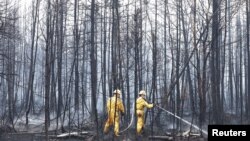 Petugas pemadam kebakaran berusaha memadamkan api yang melahap area Shelburne County, Nova Scotia, pada 3 Juni 2023. (Communications Nova Scotia/Handout via Reuters)