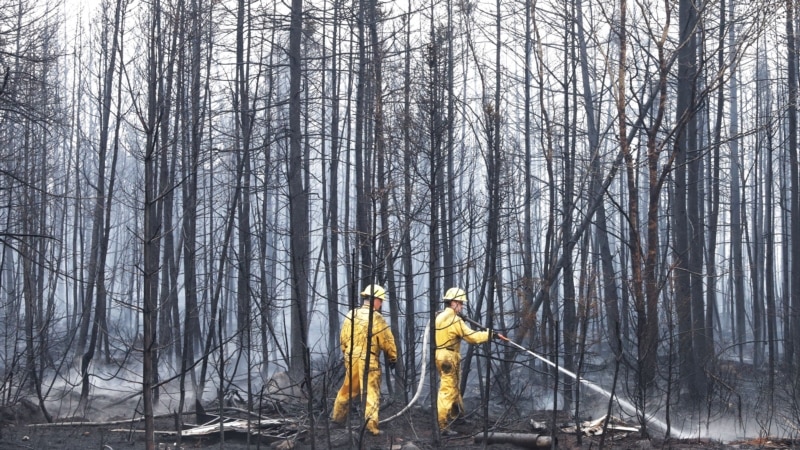 Kebakaran Hutan Berlanjut, Langit Ottawa Berubah Menjadi Oranye 8 Kebakaran Hutan Berlanjut, Langit Ottawa Berubah Menjadi Oranye