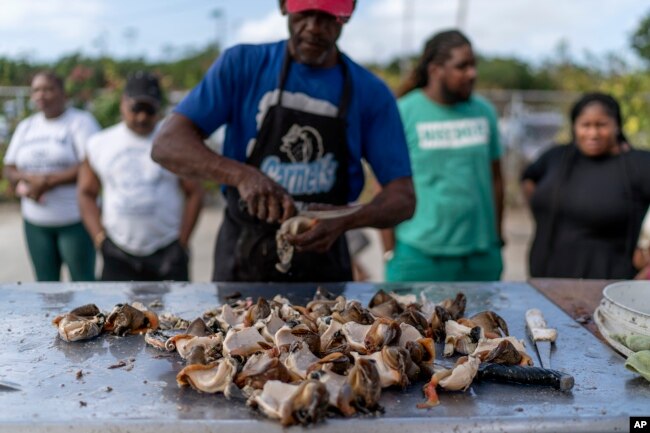 Quincy Garbey lays out fresh conch meat for customers at a fish market in Freeport, Grand Bahama Island, Bahamas, Saturday, Dec. 3, 2022. (AP Photo/David Goldman)