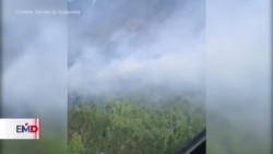 Incendio forestal amenaza hábitat del Quétzal en Guatemala 