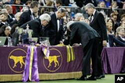 FILE - Judges convene for the Best in Show contest during 144th Westminster Kennel Club dog show, Tuesday, Feb. 11, 2020, in New York.