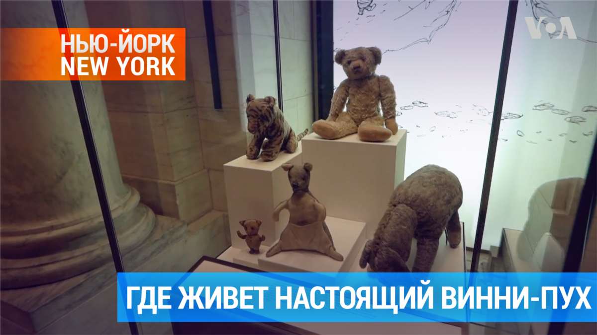 Оригинальные игрушки Кристофера Робина живут в Нью-Йоркской библиотеке