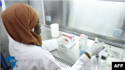 Africa News Tonight - 2023 International Women’s Day Spotlights Digital Divide Between Men and Women & More 