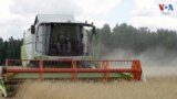 Thumbnail - Ukraine Grain Restriction