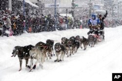 FILE - Jeff King takes his sled dog team through a snowstorm in downtown Anchorage, Alaska, March 4, 2022, during the ceremonial start of the Iditarod Trail Sled Dog Race.