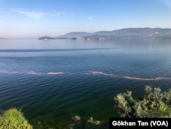 Marmara Denizi'nin doğusu gibi, güney batısındaki Erdek Körfezi'nde de kızıl gelgit söz konusu. Bandırma Narlı mevkiinde 15 Nisan'da çekilen bu fotoğrafta karşıda Erdek görünüyor.