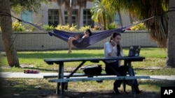 FILE - Students work on their laptops on the campus of New College of Florida, March 2, 2023, in Sarasota, Fla.