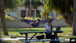 FILE - Students work on their laptops on the campus of New College of Florida, March 2, 2023, in Sarasota, Fla.
