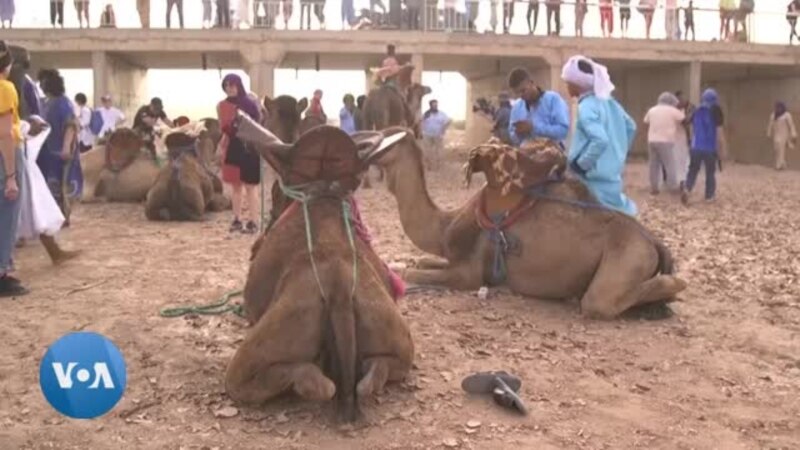 Dans le désert marocain, la 18e édition du festival des nomades
