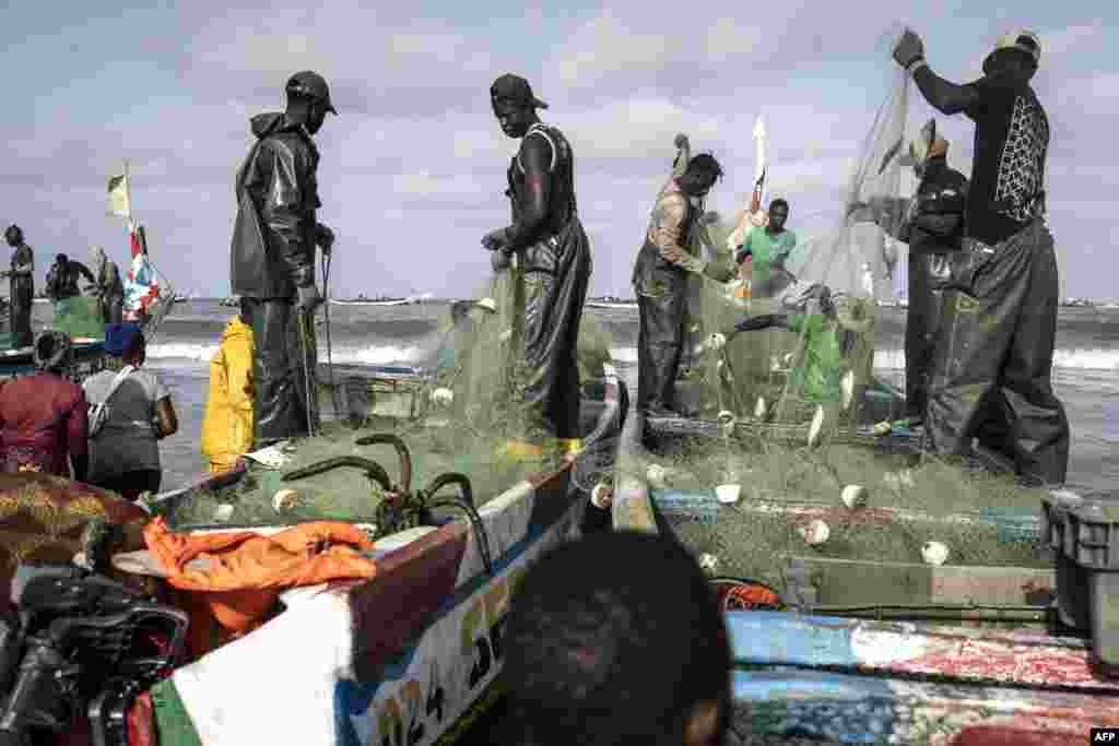 Рибари растовараат риба на рибарско пристаниште во Кап Скиринг, Сенегал.