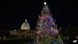 FILE - The U.S. Capitol Christmas tree is seen after a lighting ceremony on the West Front of the Capitol, in Washington, Nov. 28, 2023.