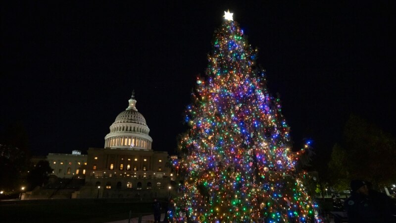 2024 US Capitol Christmas tree to come from Alaska